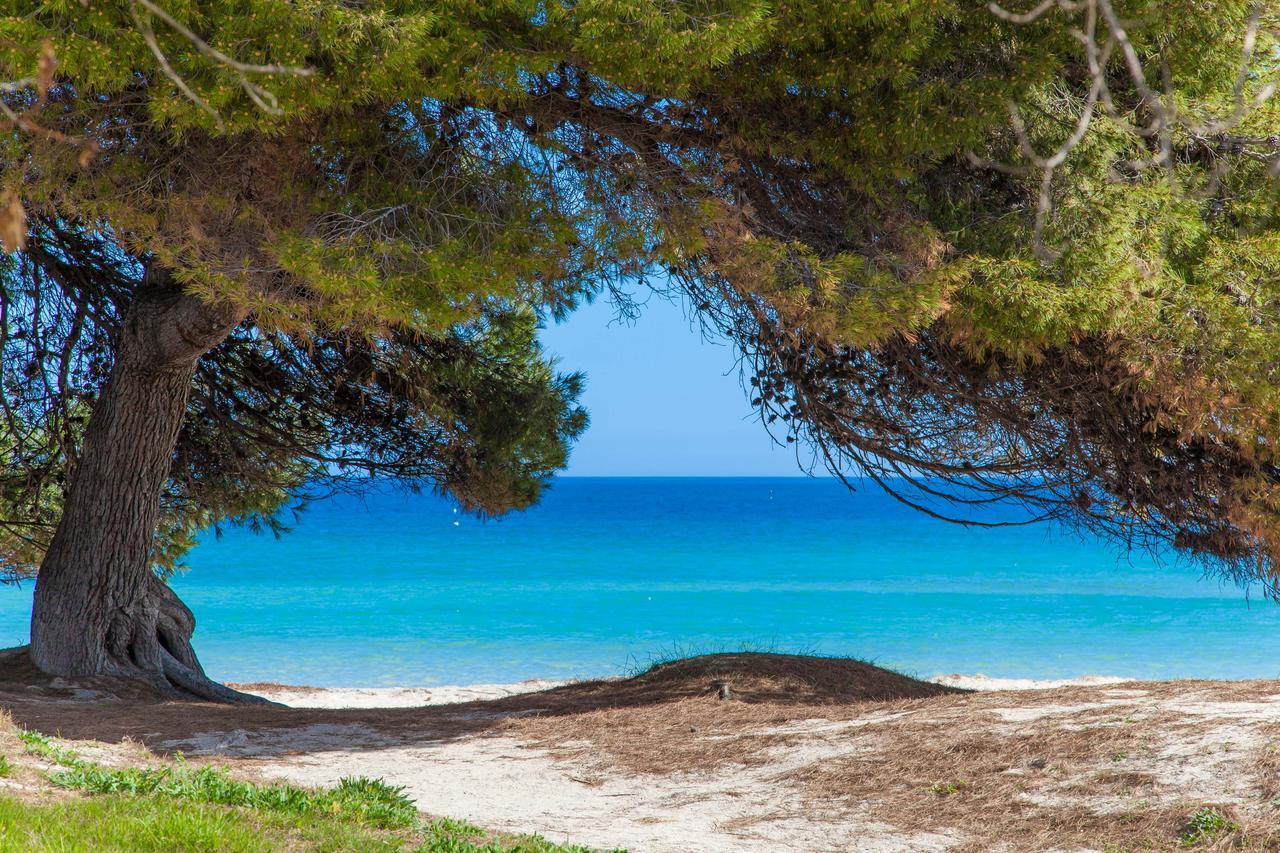 캔 피카폴트 Formentera 2 빌라 외부 사진